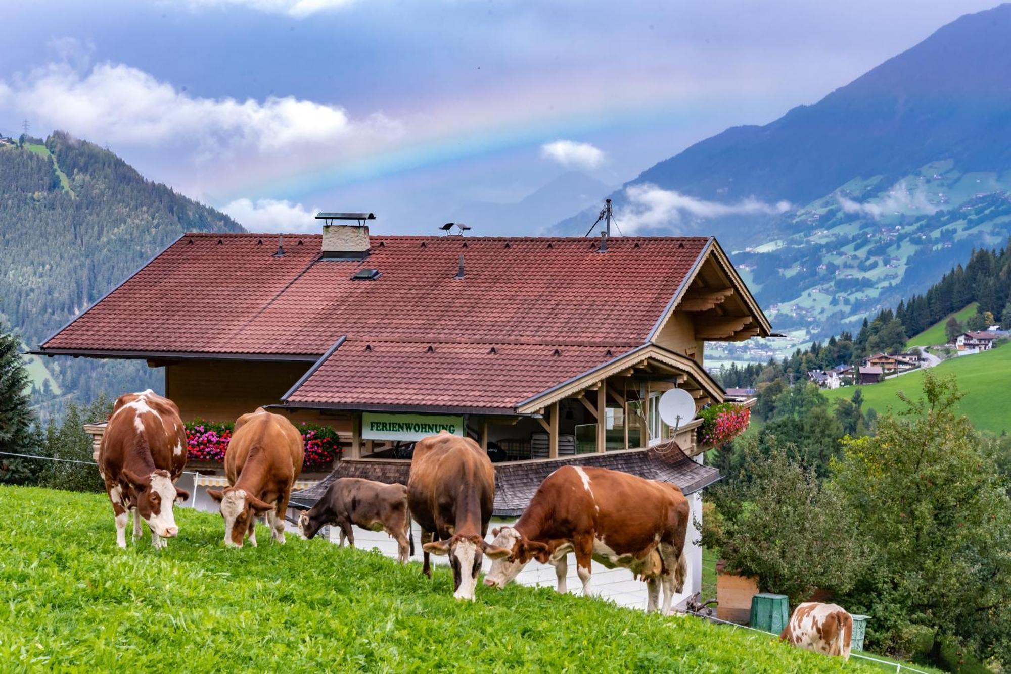 Ferienwohnung Ausblick Zillertal Hainzenberg Eksteriør bilde